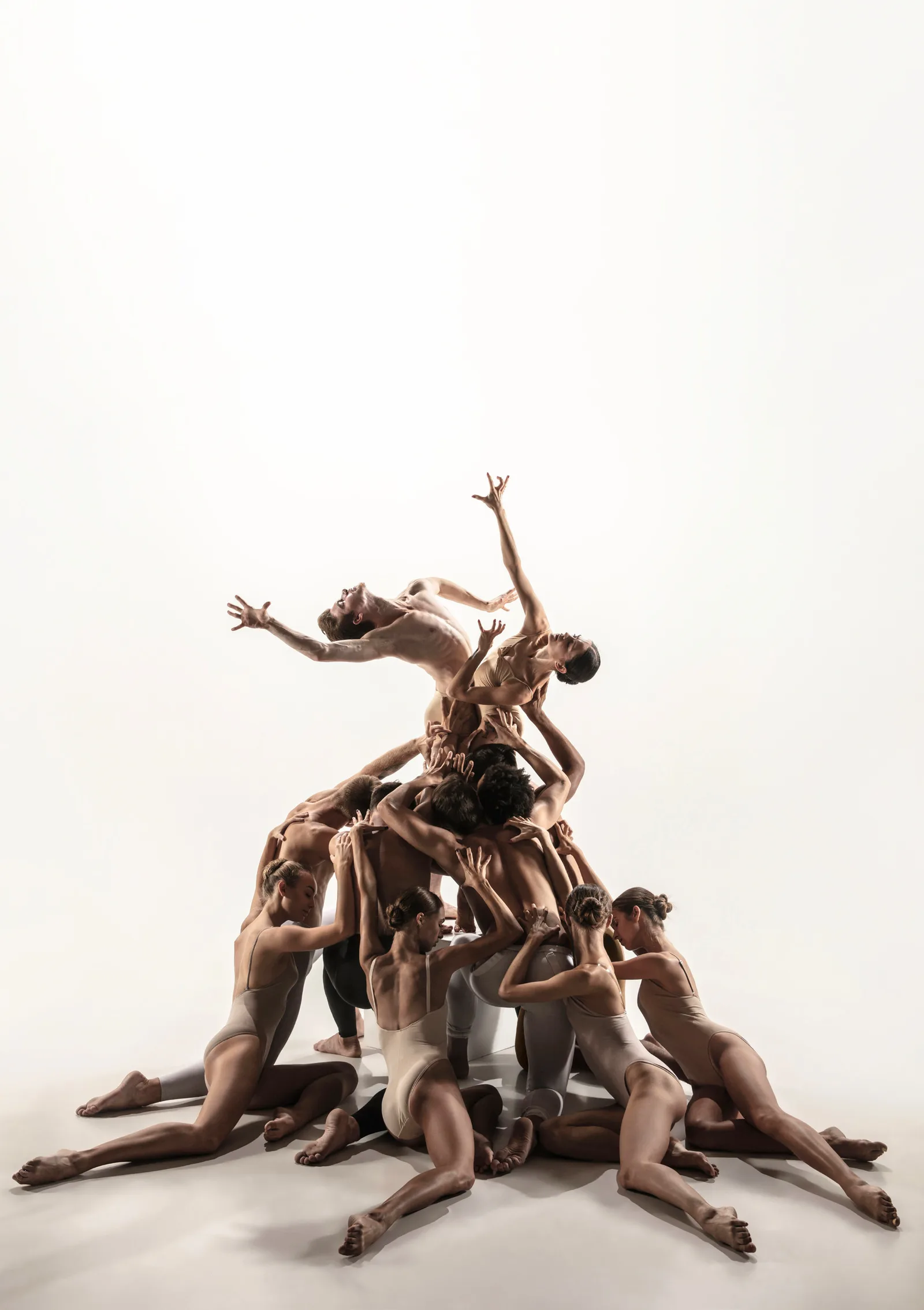 Mouvement, élégance et harmonie